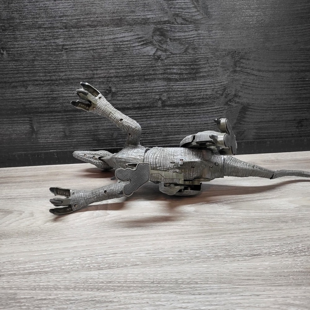 Remote Controlled Raptor No Remote! Tested! - Picture 9 of 16